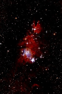 Beautiful Orion's nebula (image credit Unsplash)