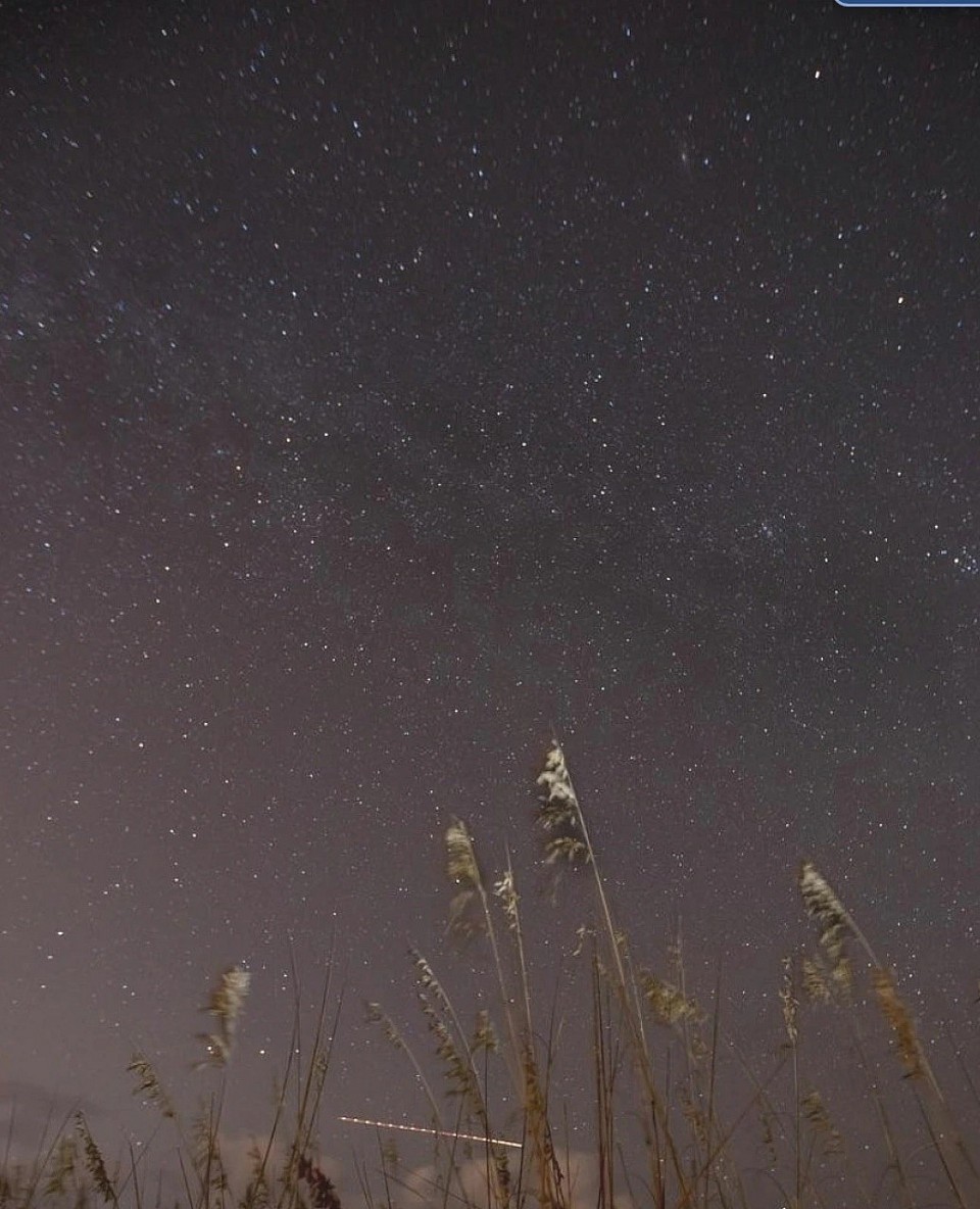 Choose a dark sky area away from street lights and urban areas(Image credit: Astronomy Emporium / AI-generated concept)